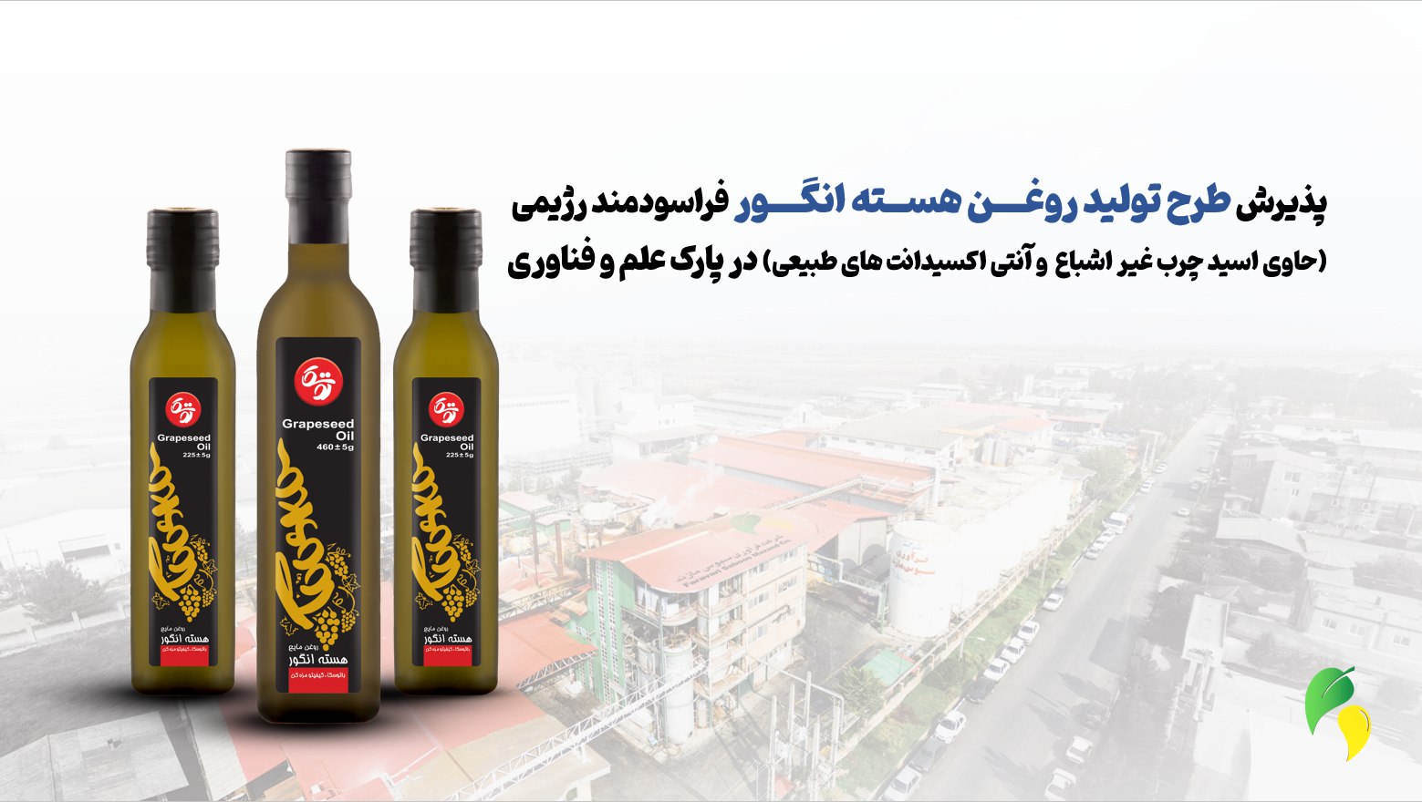 پذیرش طرح تولید روغن هسته انگور در پارک علم و فناوری استان مازندران